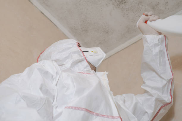 Best Toxic Mold Removal  in , KY